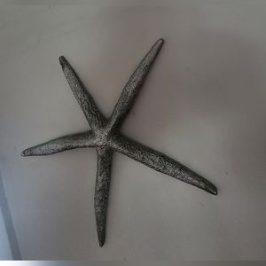 Metallic wall starfish
